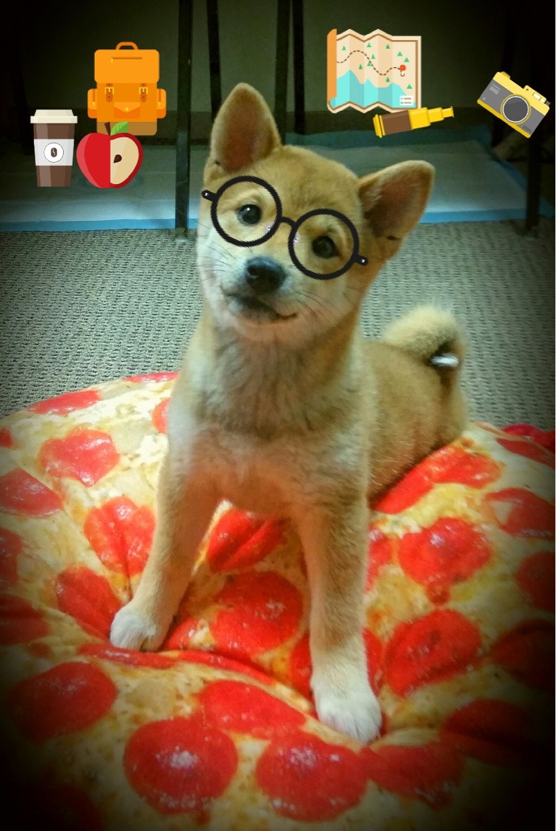 爱游戏综合娱乐-“青春激扬”青少年校际篮球交流赛在西安激情展开，西安市青少年篮球公开赛