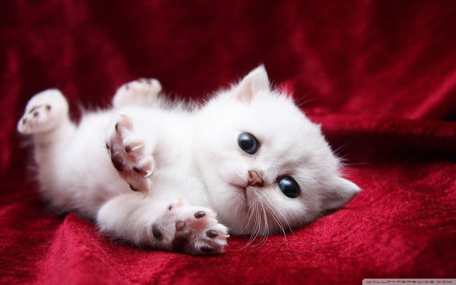 爱游戏-“青春逐梦路”公益大联盟在全国各地同步开启，助青少年追梦，青春公益活动