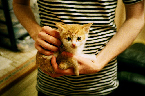 中国足球赛事志愿者服务水平不断提升,足球志愿者招募