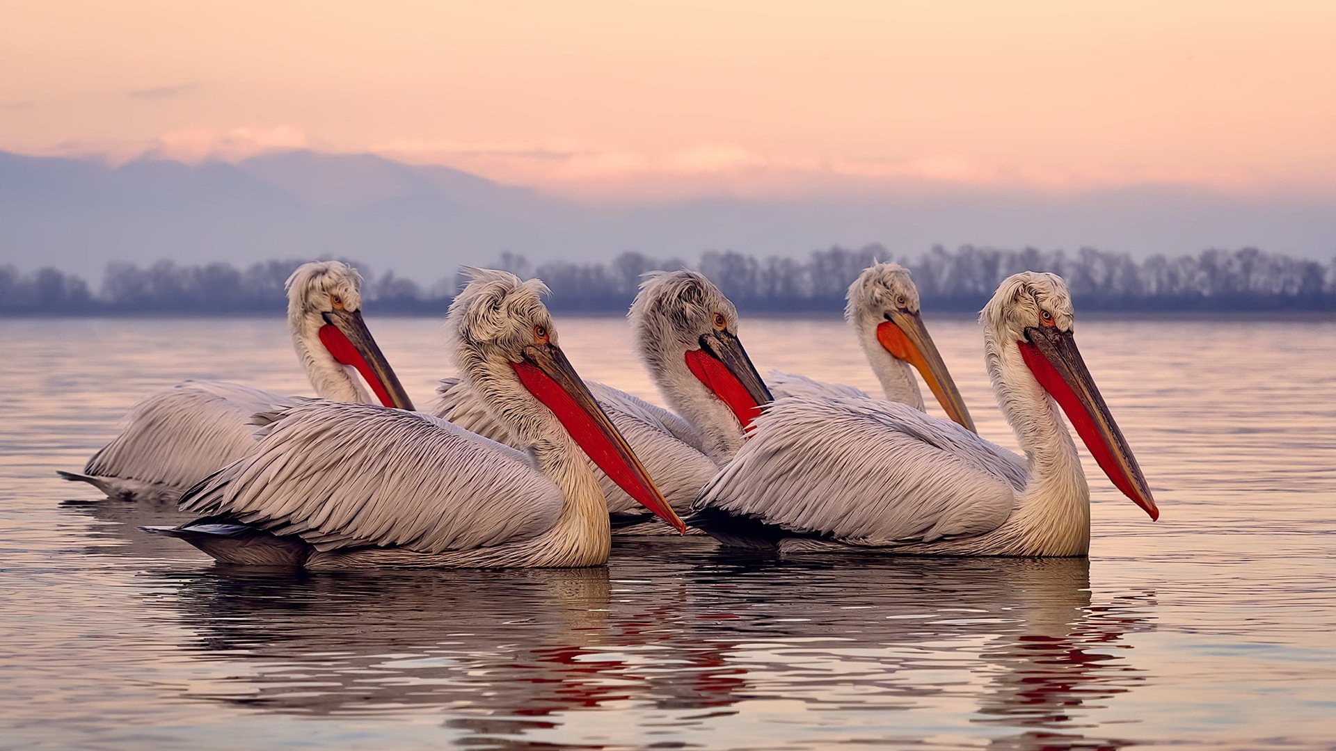 关键封盖:李磊封阻对手最后冲击,稳住胜局!