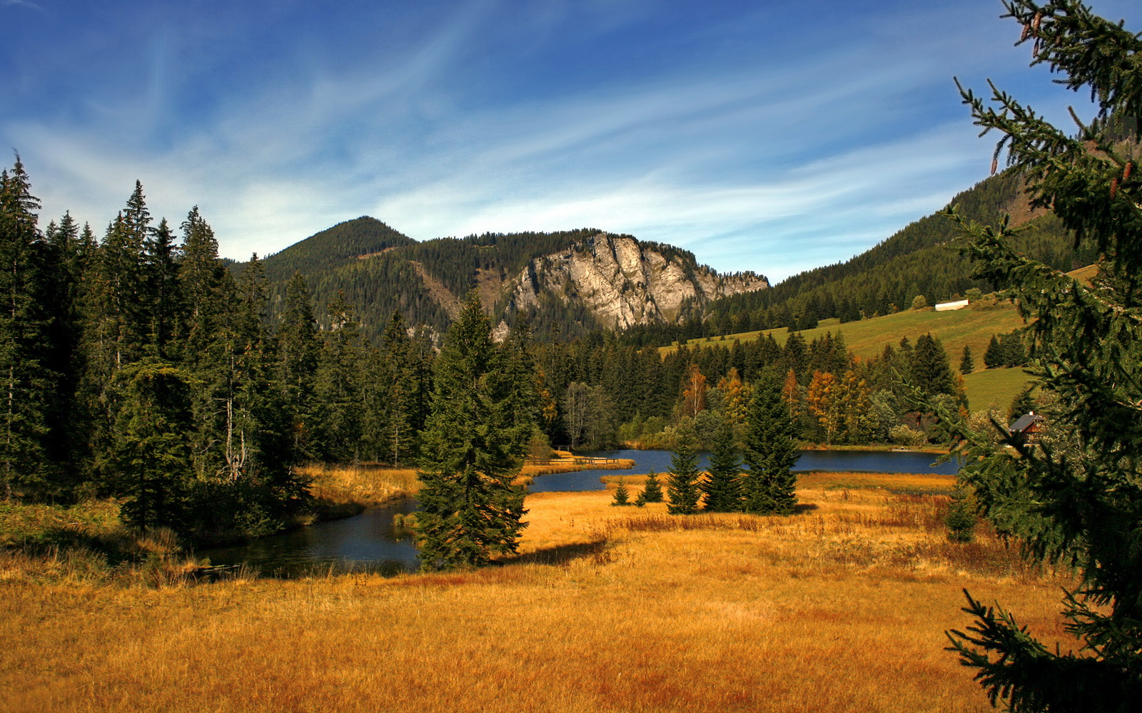 北极探险赛:极地挑战的无畏精神,北极探索