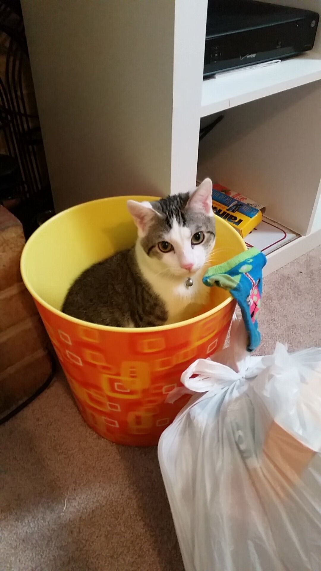 爱游戏官网-凯尔特人将塔图姆列为“非卖品”，建队核心无疑，凯尔特人塔图姆今日集锦