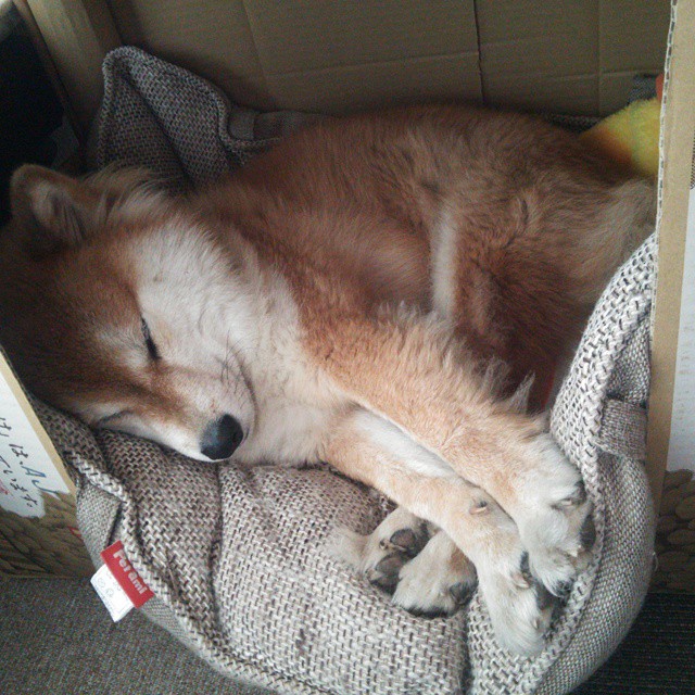 未来“欧洲新王”崭露头角,强者逐鹿!,欧洲未来会变成什么样