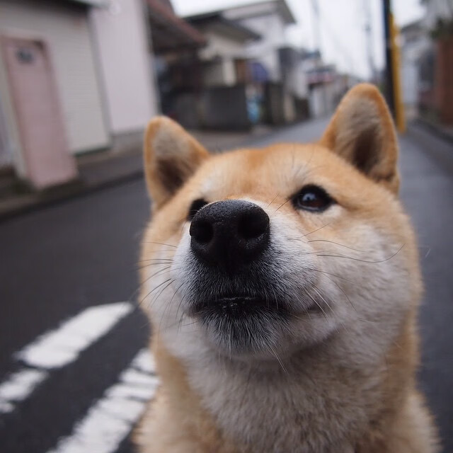 爱游戏娱乐平台-法国阿尔卑斯山地区、美国盐湖城分别获得2030年和2034年冬奥会主办权，沙特获得2034年足球世界杯主办权。