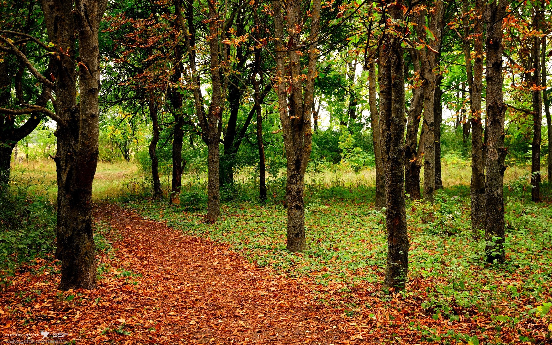 AYX体育-英雄联盟 比赛数据分析成为新趋势，英雄联盟分析比赛走势