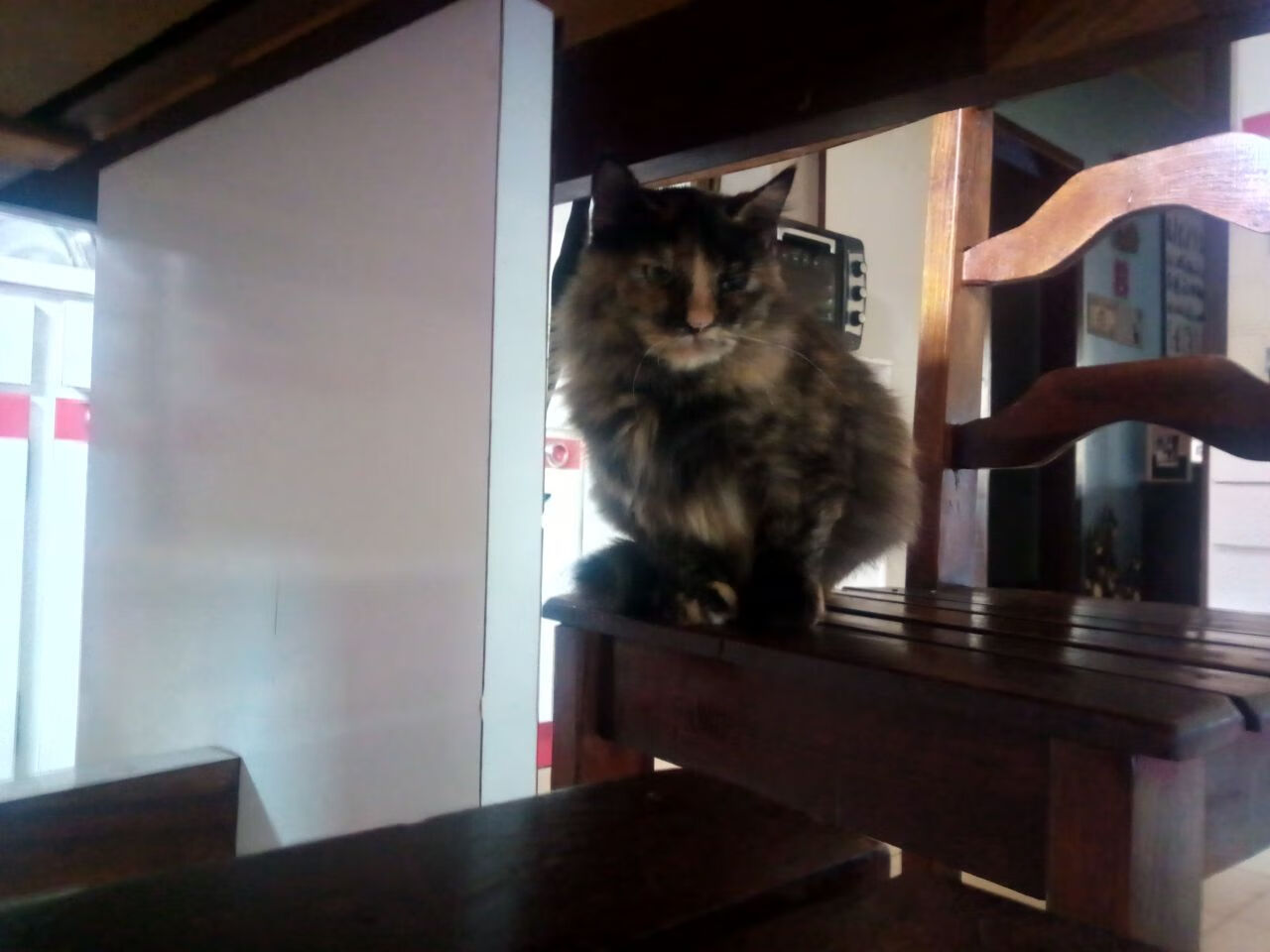 足球大数据分析助力球队战术优化，足球大数据分析软件哪个好用