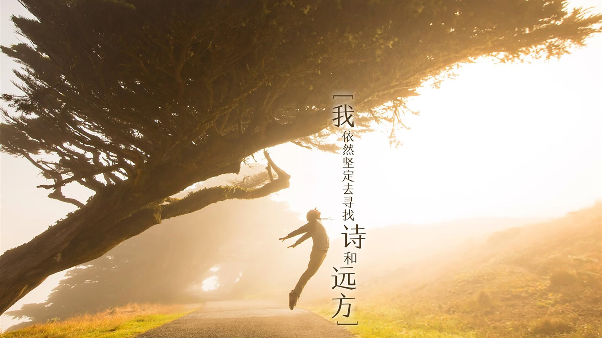 七六人防守发力终结连败,7人炫酷防守