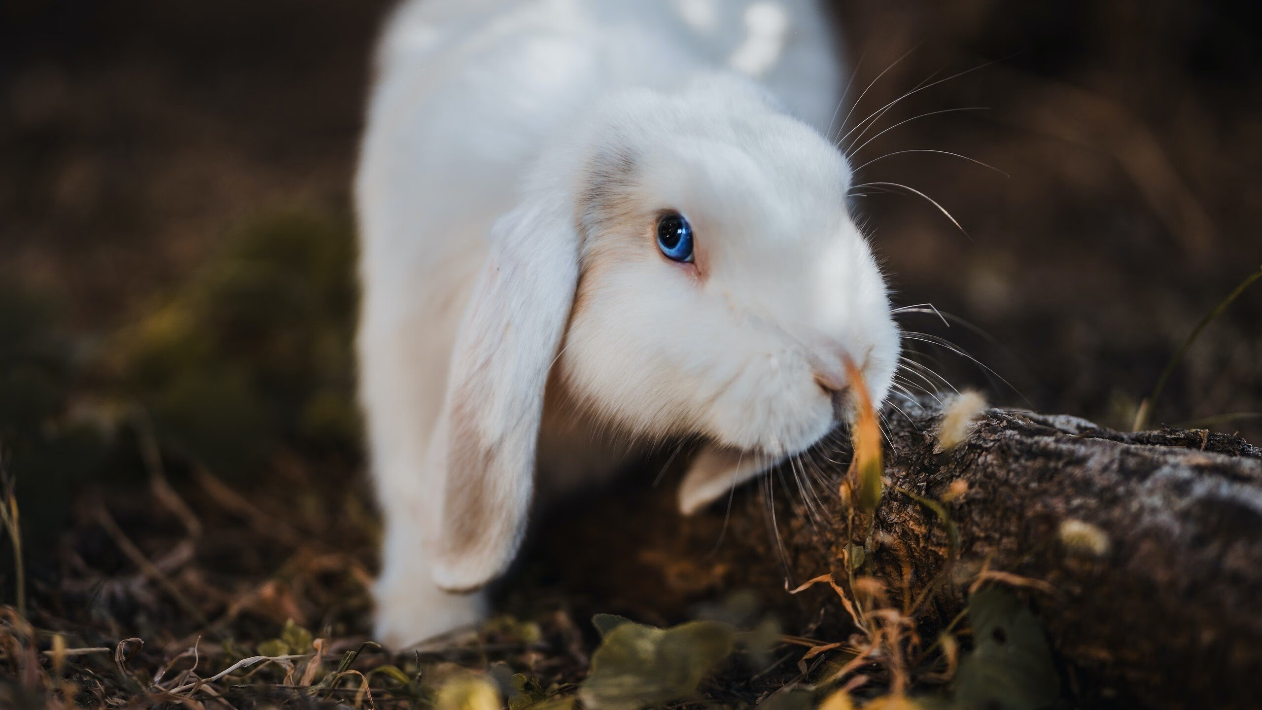 爱游戏娱乐平台-中国足球训练营联动大湾区资源，中国足球集训