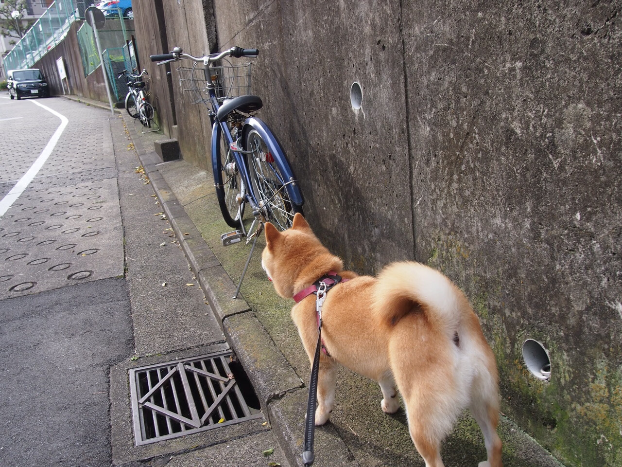 爱游戏体育APP下载-国足展现强大实力，晋级国际赛决赛，国足国际杯