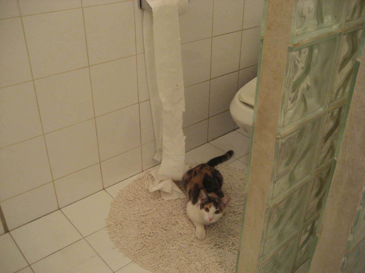 美洲队主帅谈球员转会策略,目标明确,美洲队球衣