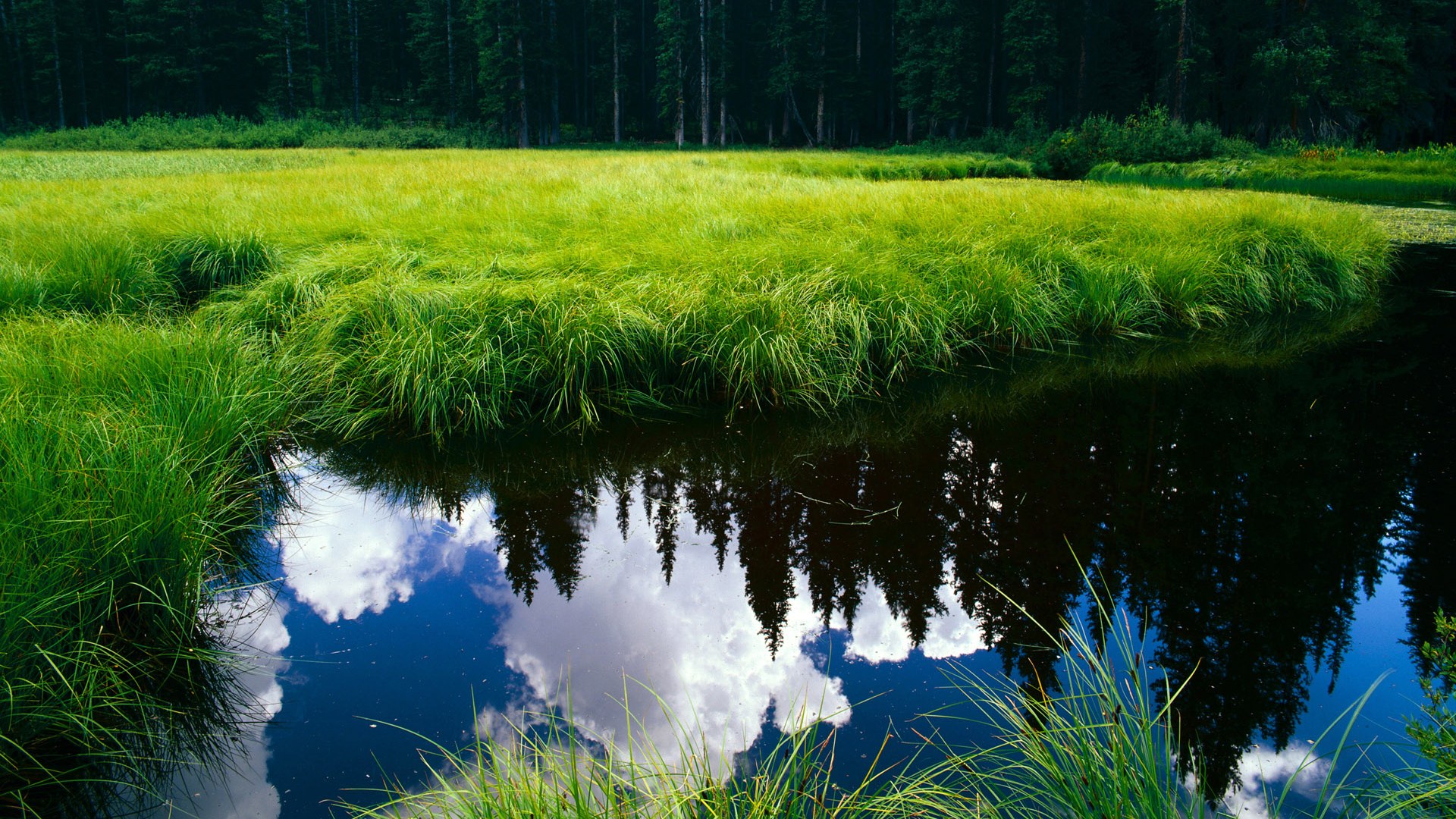 爱游戏中国官方登录入口网站-队伍实力强弱对比，比赛场面扣人心弦，队伍强不强