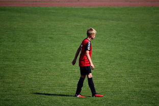 爱游戏体育平台-NBA球员高原训练对平原比赛状态的影响，平原运动员进行高原训练原因