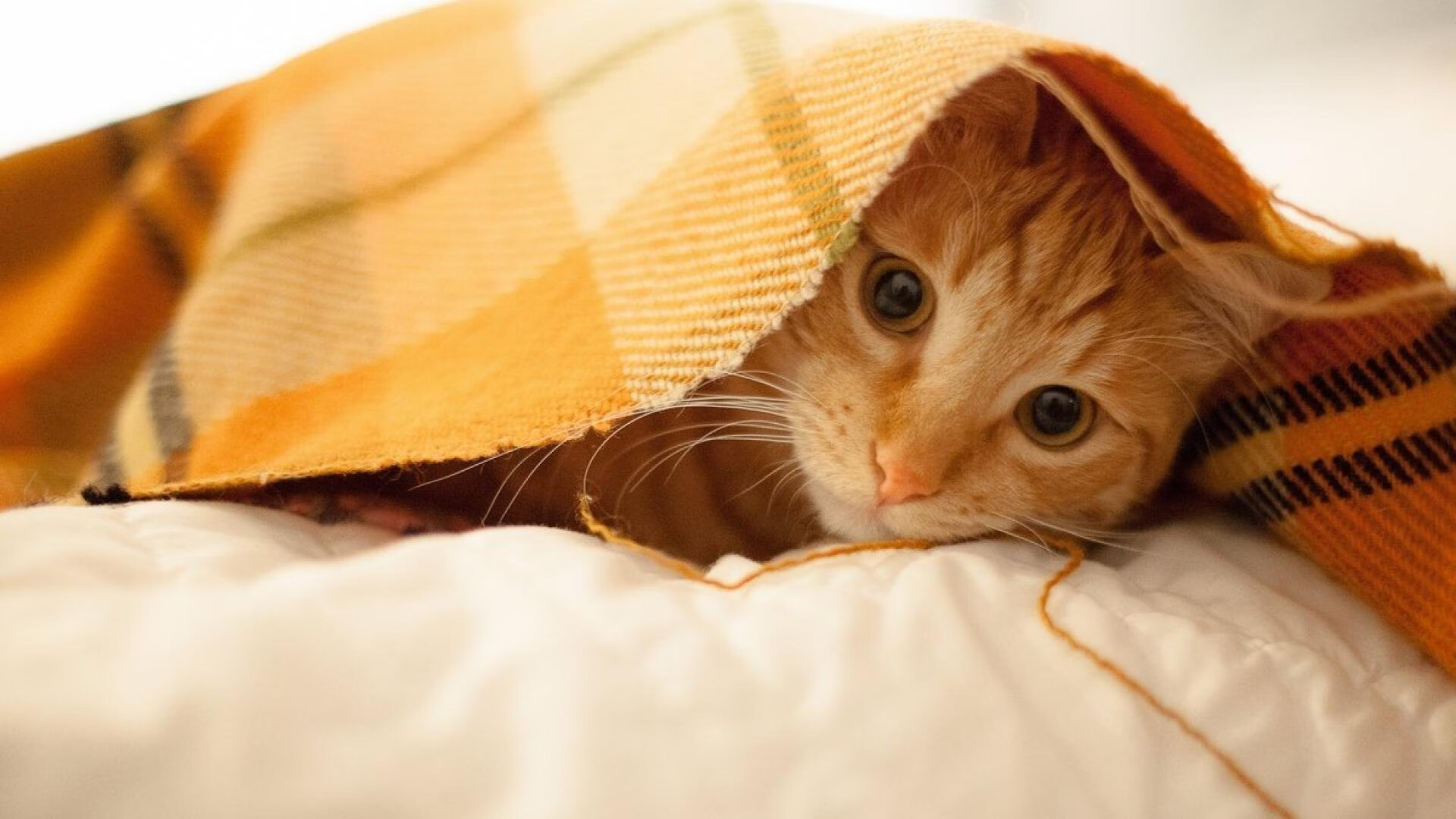 NBA赛季投篮效率提升方法,nba赛季投篮效率提升方法有哪些