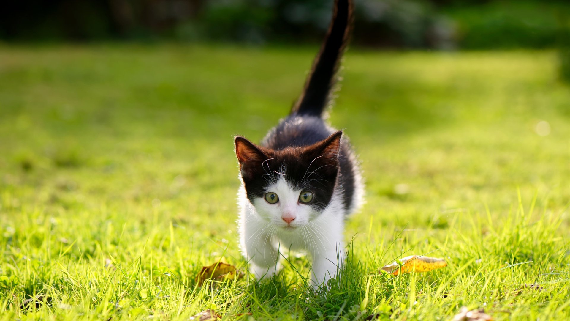 中国足球训练设施分布评估,中国足球队训练