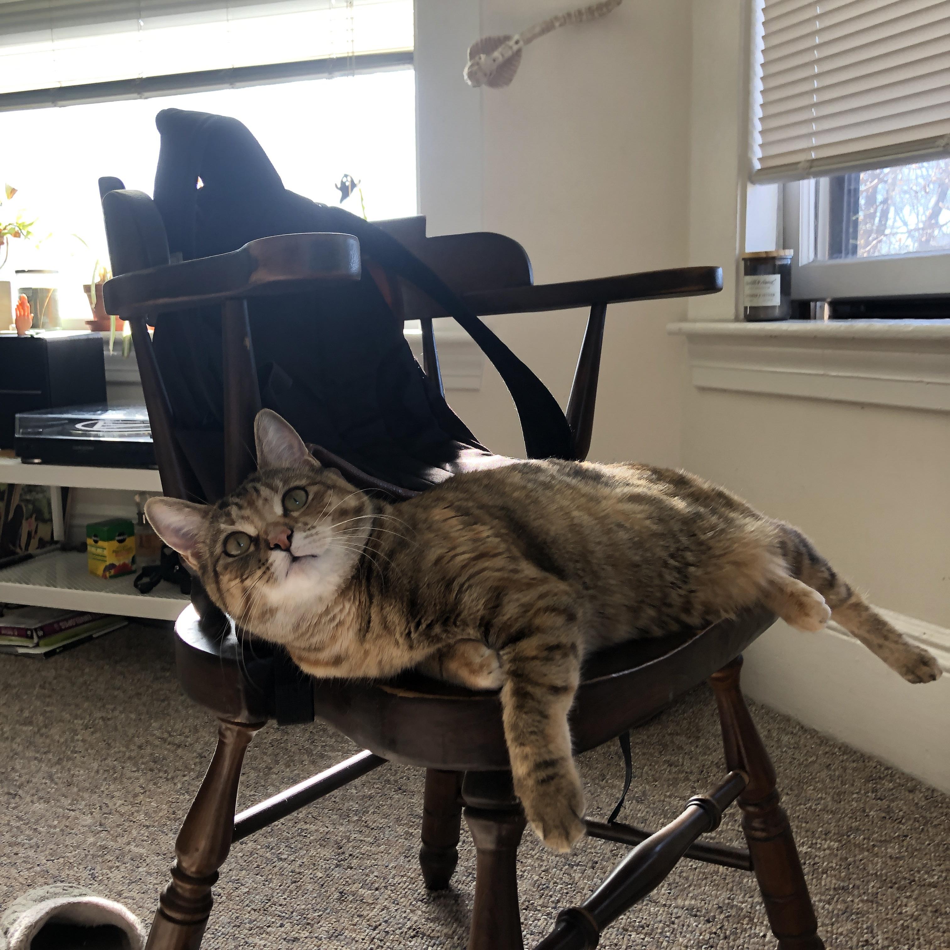 意甲VAR系统语义模型提升判罚透明度的应用分析,意甲var使用规则