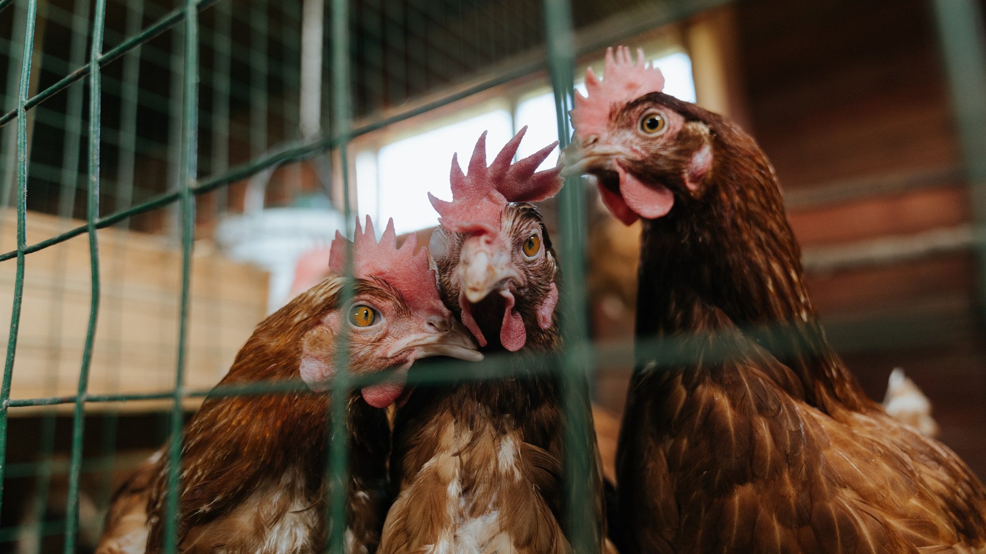 校园场馆智能调度,谈谈智能场馆如何实现信息化的
