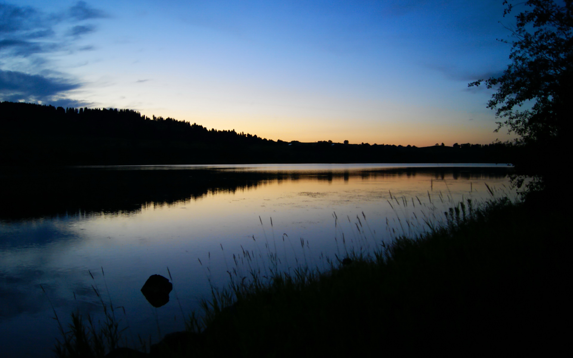 英超比赛中心理教练介入频次与球队表现关联,2021英超教练