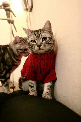 爱游戏体育APP下载-利雅得新月：健康比冠军更重要，利雅得新月足球俱乐部