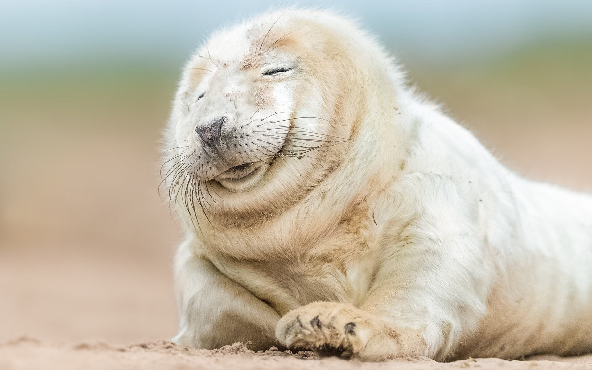 爱游戏体育（AYX）官方APP下载-拜仁边后卫内收战术打破防守平衡，拜仁 边后卫