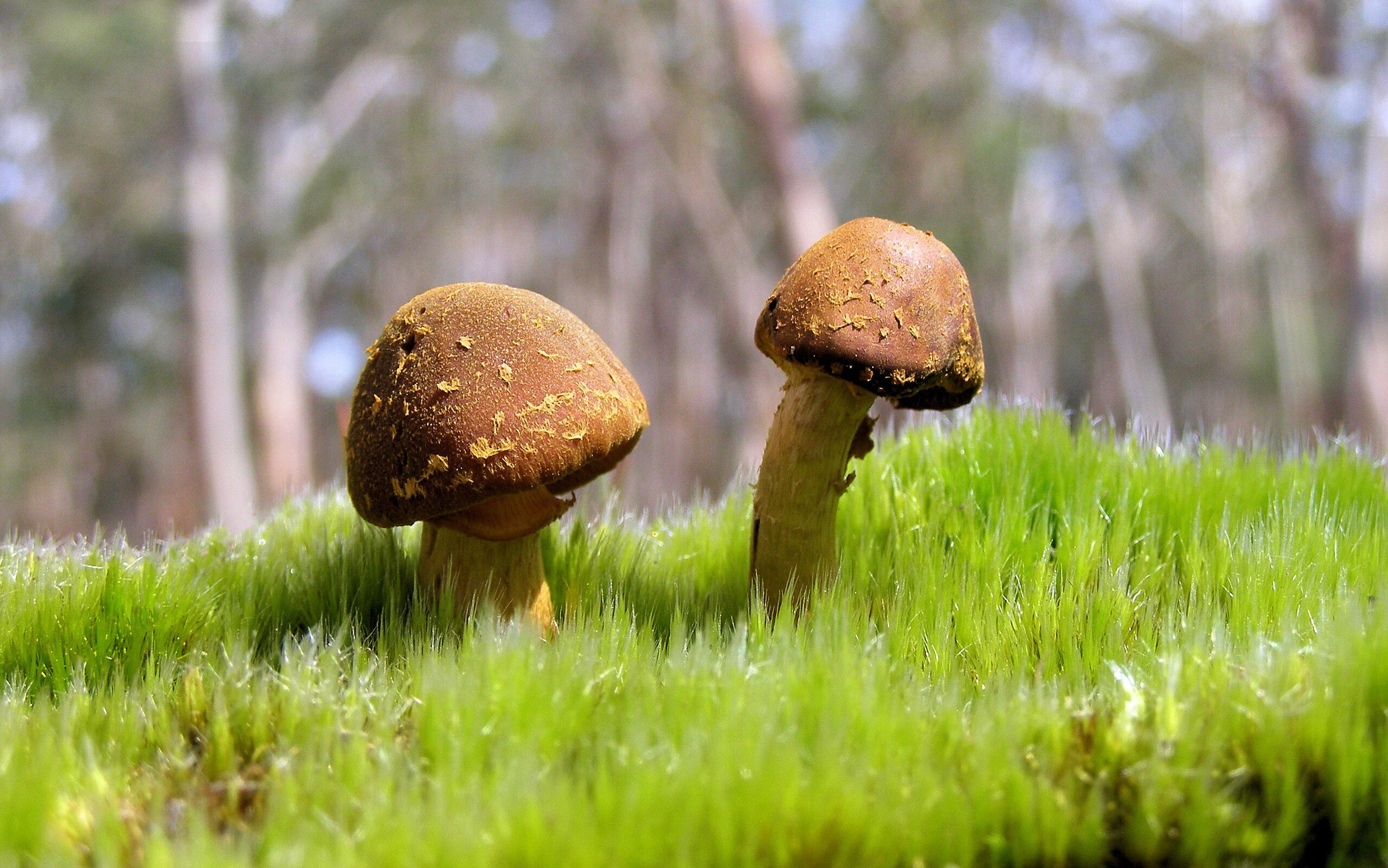 克莱尔·柯尔赞赛后分享训练细节,克莱尔克