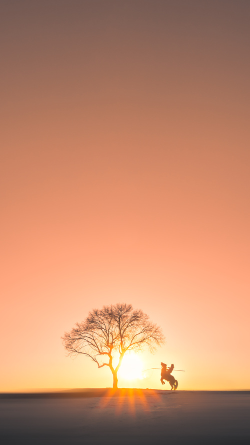 巴尔:在防守和进攻转换中,他为全黑队提供了巨大的战术灵活性