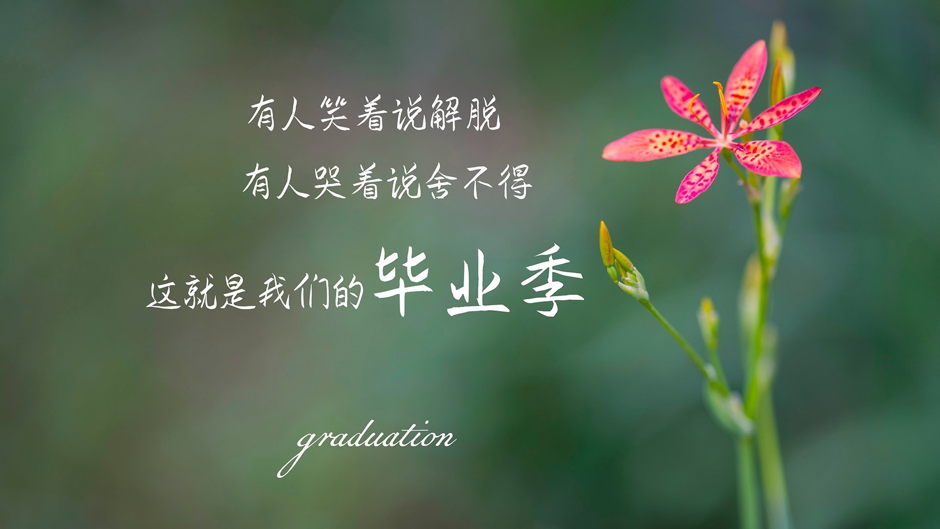 爱游戏下载-平台推出赛事幕后特辑展现球员生活日常增强粉丝粘性