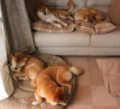 曼联高层召开发布会回应质疑,曼联最新大名单