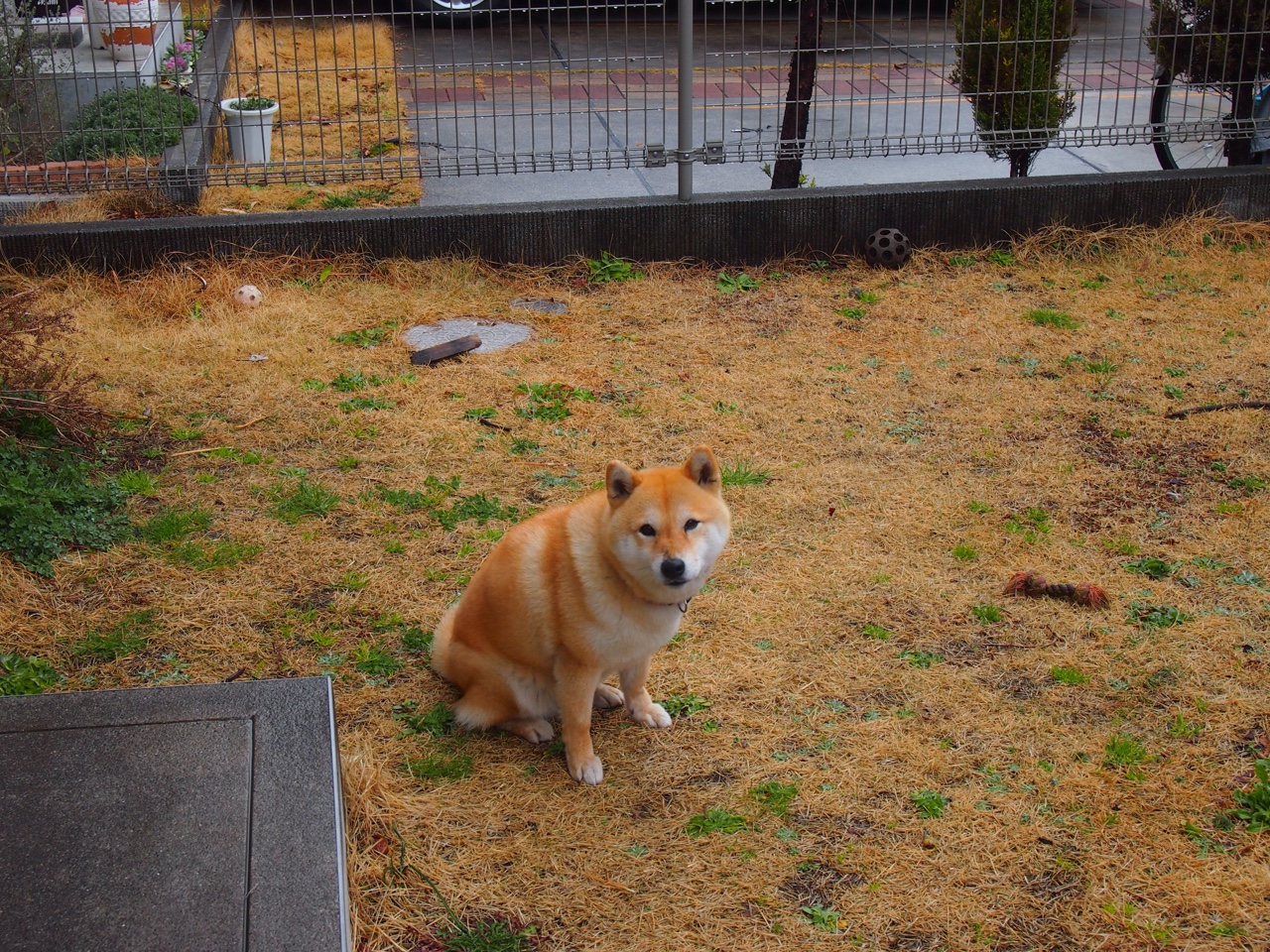 爱游戏体育APP下载-美国女子4×200米自由泳接力决赛夺银，女子4ⅹ200米自由泳接力决赛视频回放